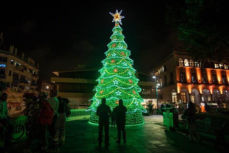 ¡Ya huele a Navidad! Instalan pino y adornos luminosos en Xalapa