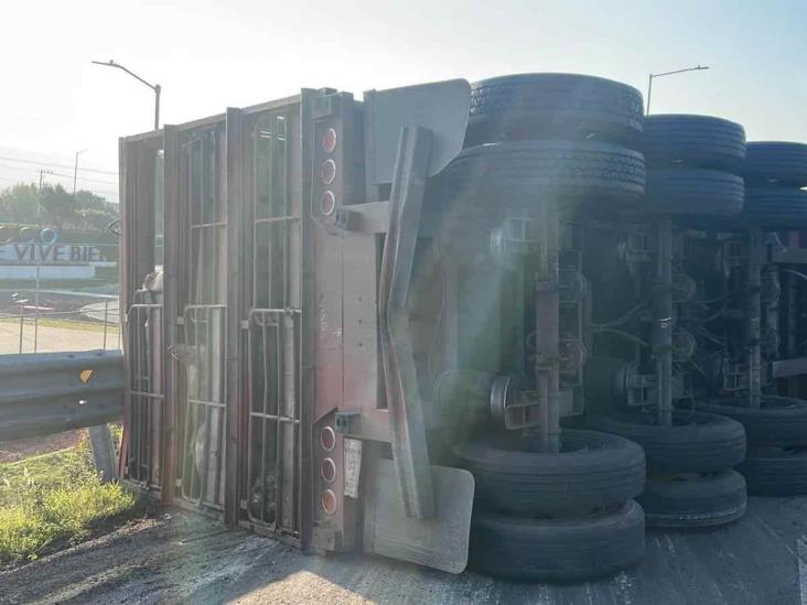 Vuelca tráiler que transportaba cerdos en Texcoco (+Video)