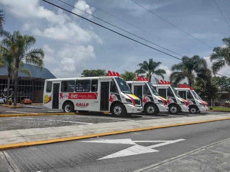 Están en pausa; esto dice alcalde de Orizaba sobre autobuses Gallo