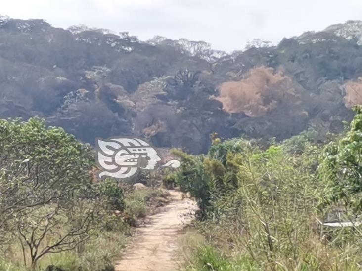 Nanchitecos piden a Pemex la reparación del daño por fuga de amoniaco
