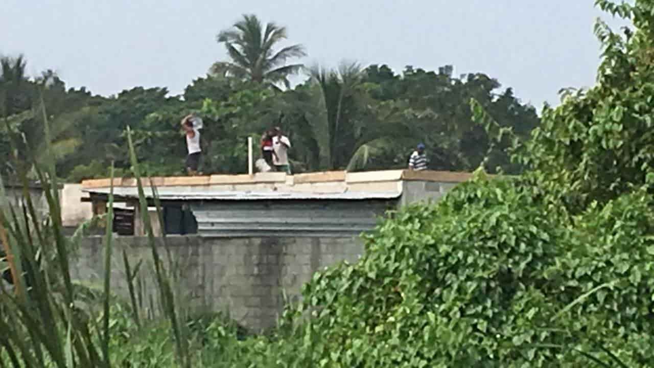 Sin freno relleno de humedales en Veracruz; autoridades son omisas, acusan