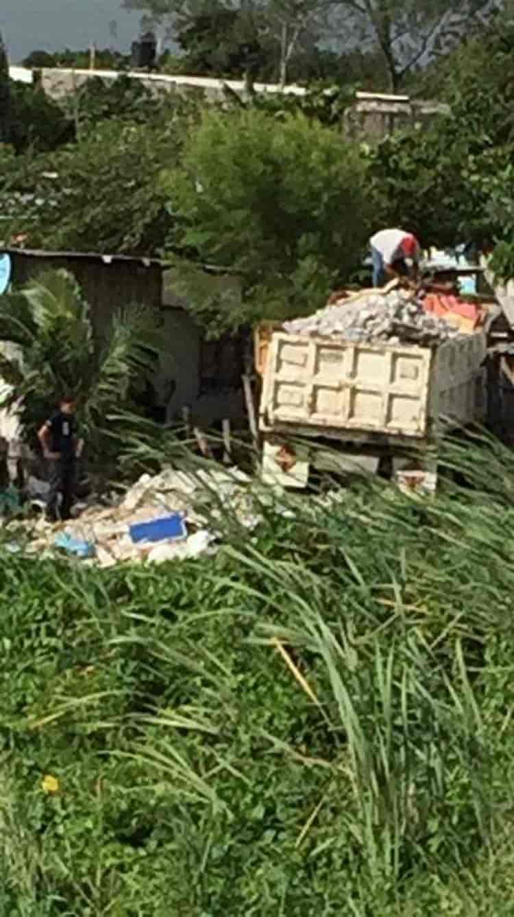 Sin freno relleno de humedales en Veracruz; autoridades son omisas, acusan