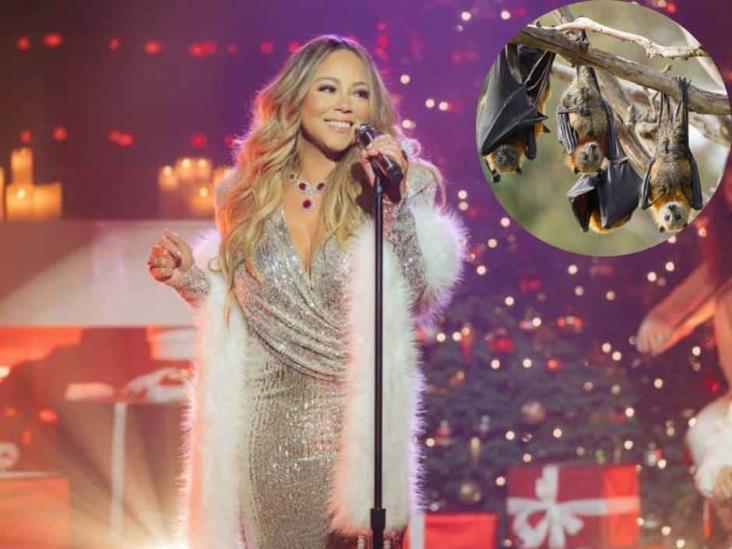 Murciélagos hacen la competencia a Mariah Carey y Axl Rose