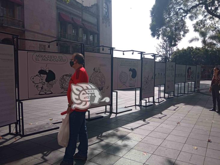 ¡Date prisa! Se va Mafalda de Xalapa, solo quedan unos días de exposición (+Video)