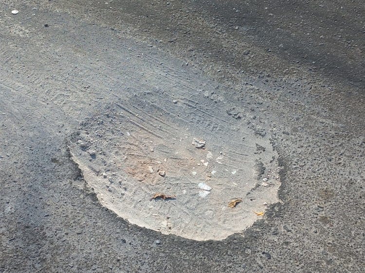 Baches y banquetas en mal estado ponen en riesgo el caminar de vecinos en colonia Ricardo Flores Magón