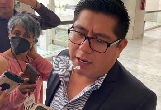 Recorte de prerrogativas no afectará a Morena en elecciones: Ramírez Zepeta