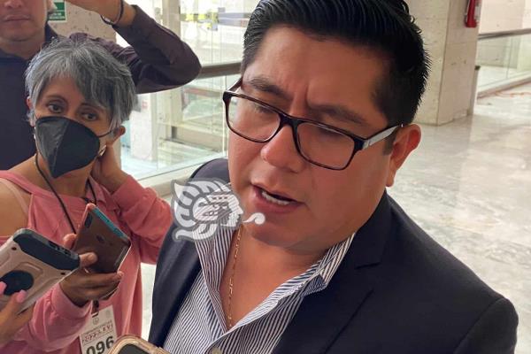 Recorte de prerrogativas no afectará a Morena en elecciones: Ramírez Zepeta