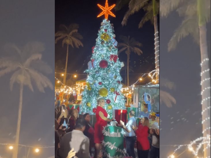 ¡Llega la Navidad a Alvarado! Autoridades encendieron el árbol navideño