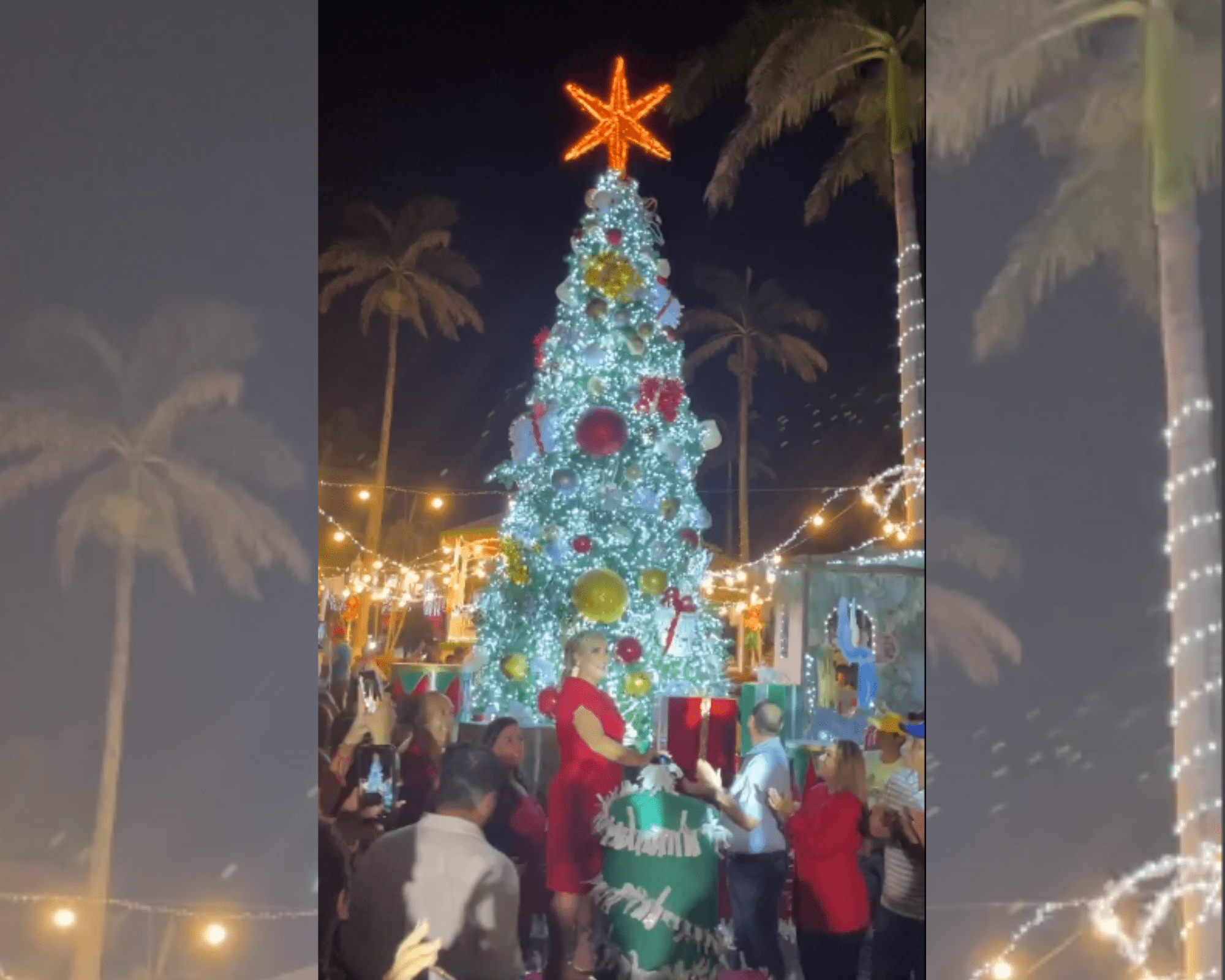 ¡Llega la Navidad a Alvarado! Autoridades encendieron el árbol navideño