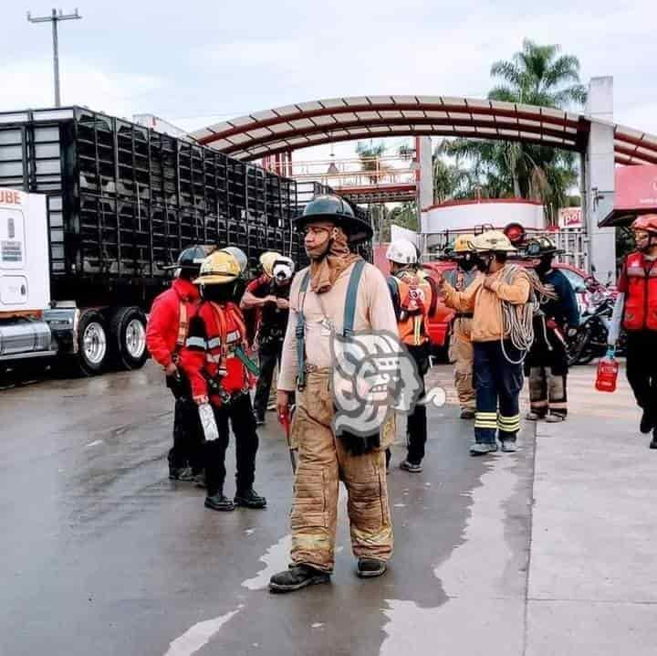 Rescatan a presunto ladrón que cayó a barranca en Fortín (+fotos)