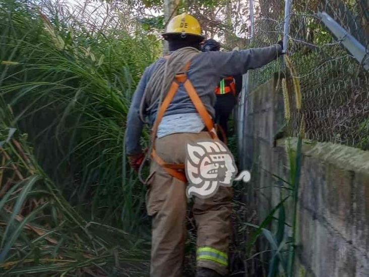 Rescatan a presunto ladrón que cayó a barranca en Fortín (+fotos)