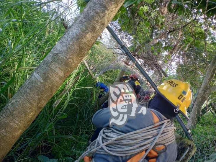 Rescatan a presunto ladrón que cayó a barranca en Fortín (+fotos)