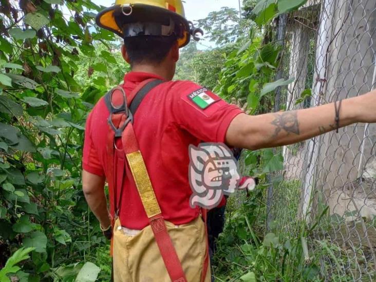 Rescatan a presunto ladrón que cayó a barranca en Fortín (+fotos)