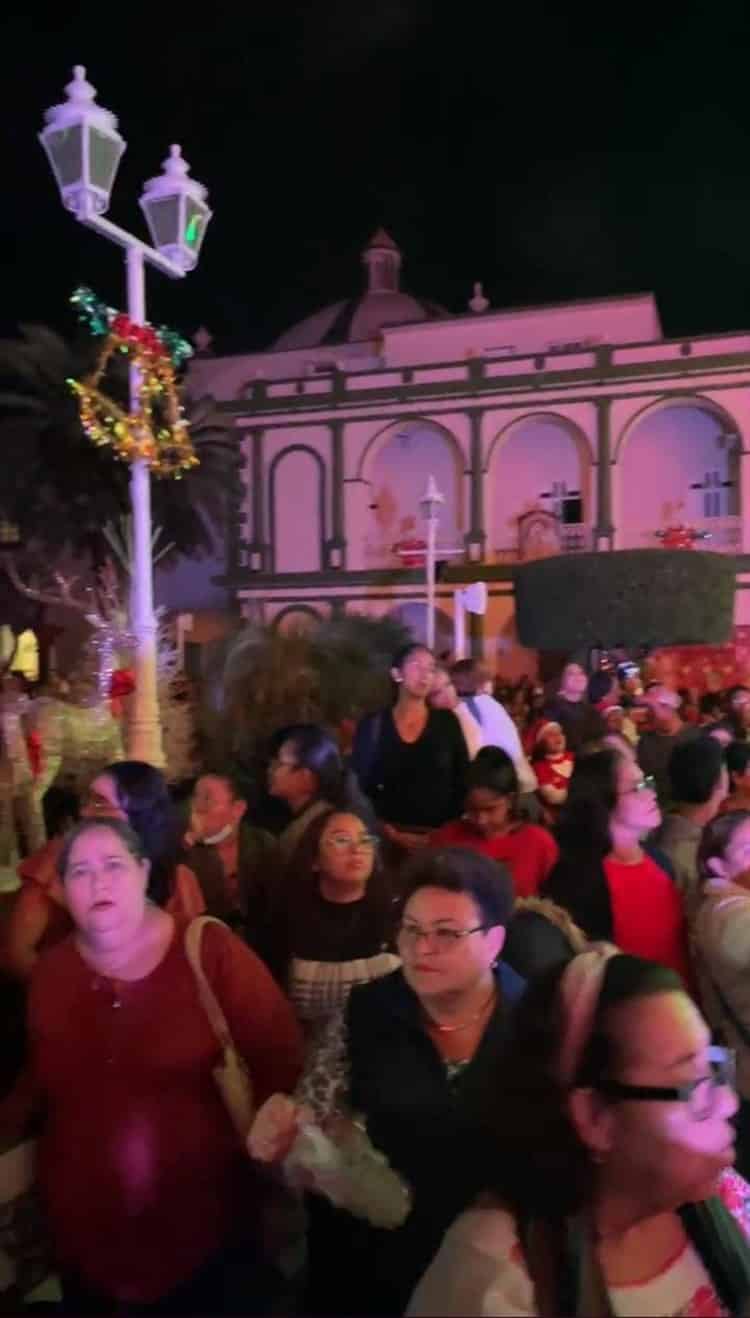 ¡Llega la Navidad a Alvarado! Autoridades encendieron el árbol navideño