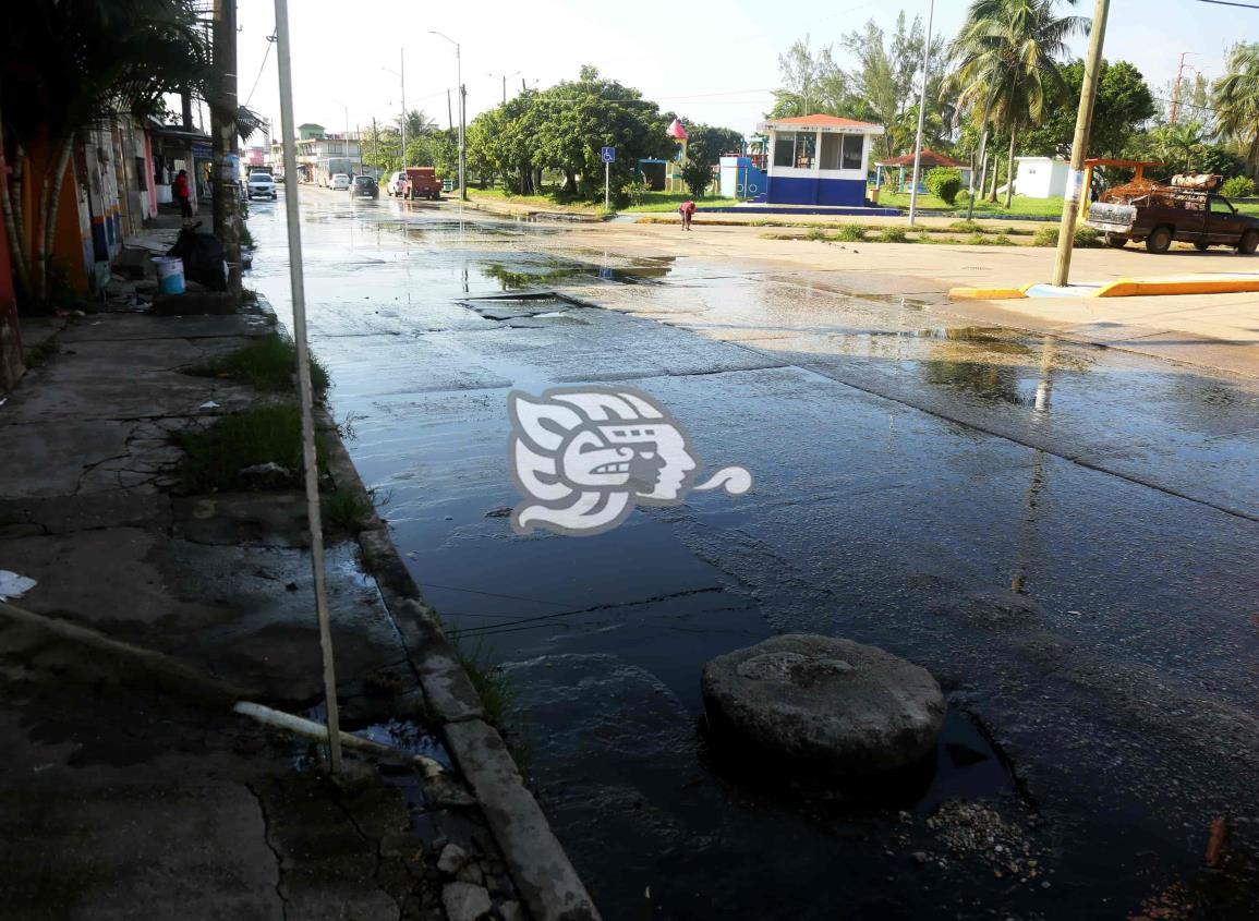 Piden atender calle de la colonia Hernández Ochoa