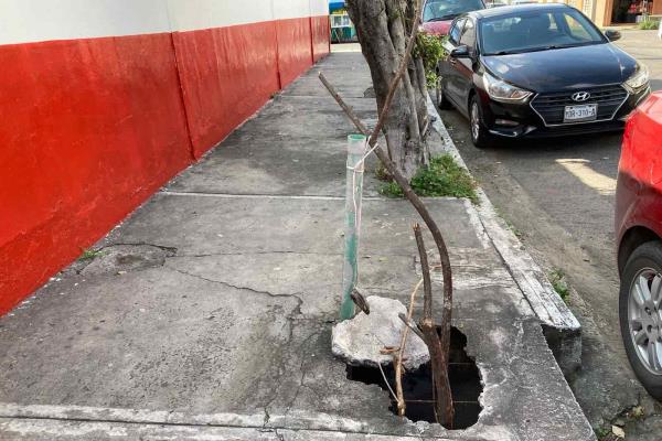 Menor resulta herida tras caer en registro destapado en Veracruz; exigen su reparación (+Video)