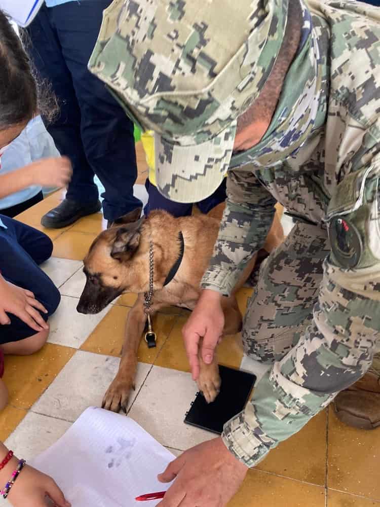 Greta, perrita policía firmó autógrafos a niños de primaria en Veracruz