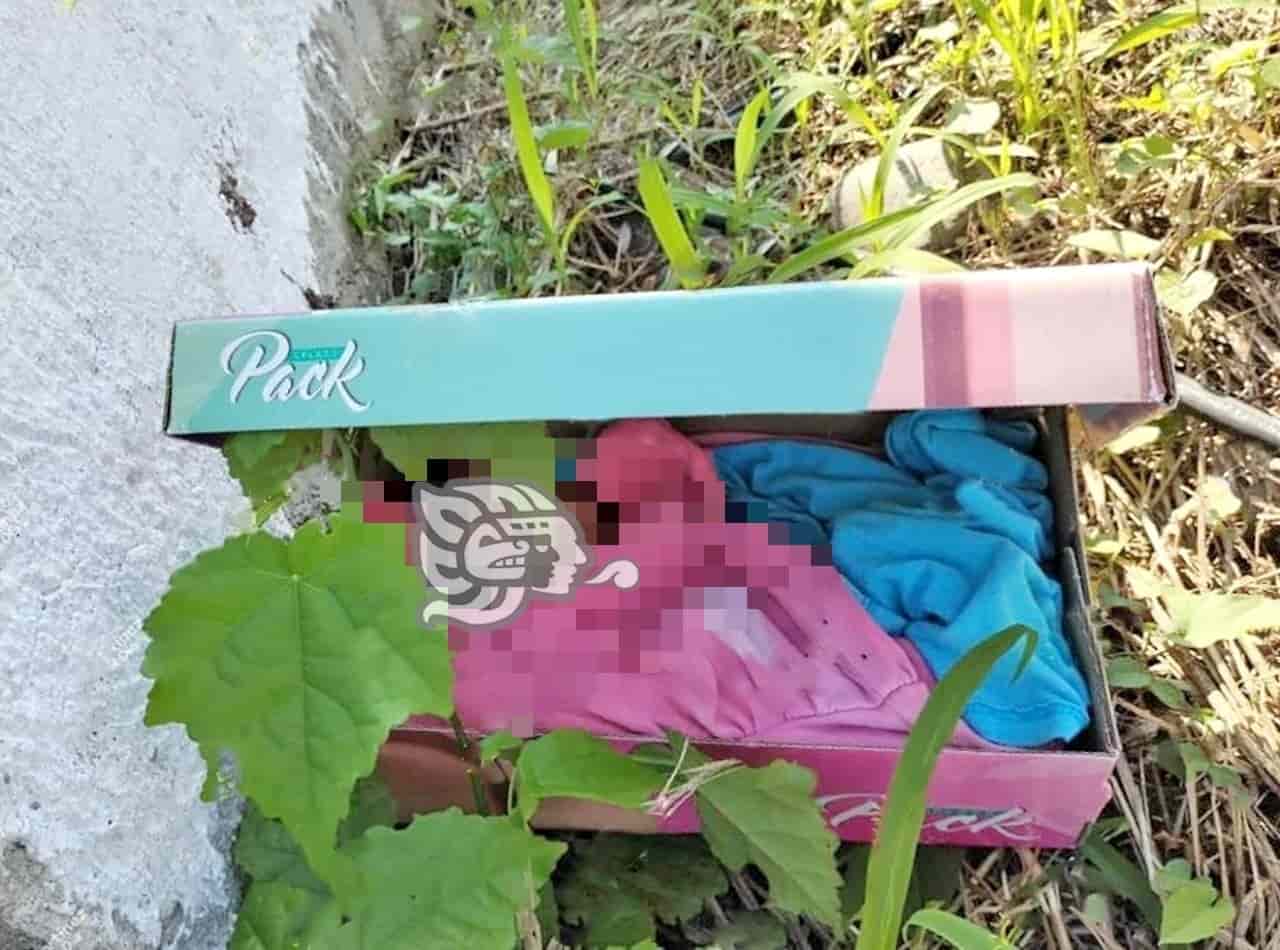 Abandonan a bebé en una caja de zapatos en la zona norte de Veracruz