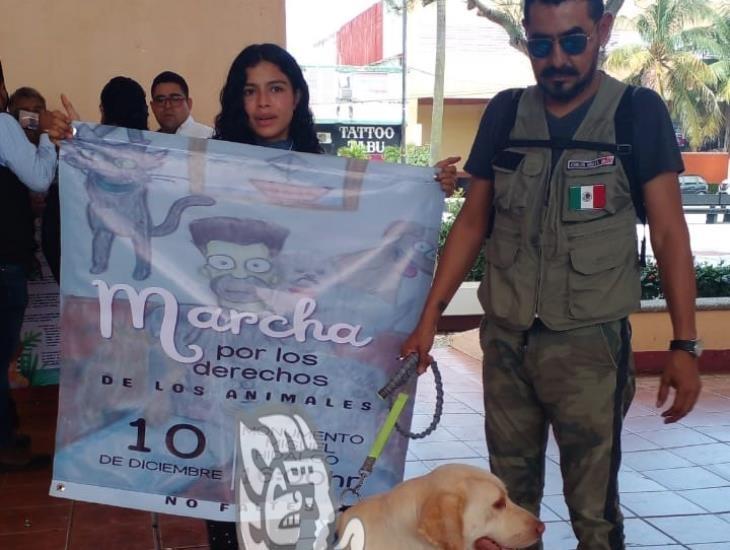 Marcharán por derechos de los animales en Coatzacoalcos