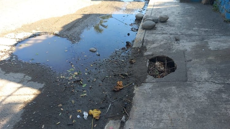 Aguas negras genera molestia entre vecinos en colonia de Veracruz, urgen reparación