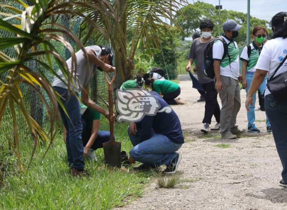 Continúan con la producción de plantas