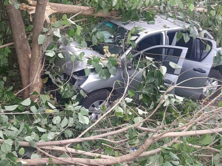 Se estampan contra un árbol en carretera de Puente Nacional