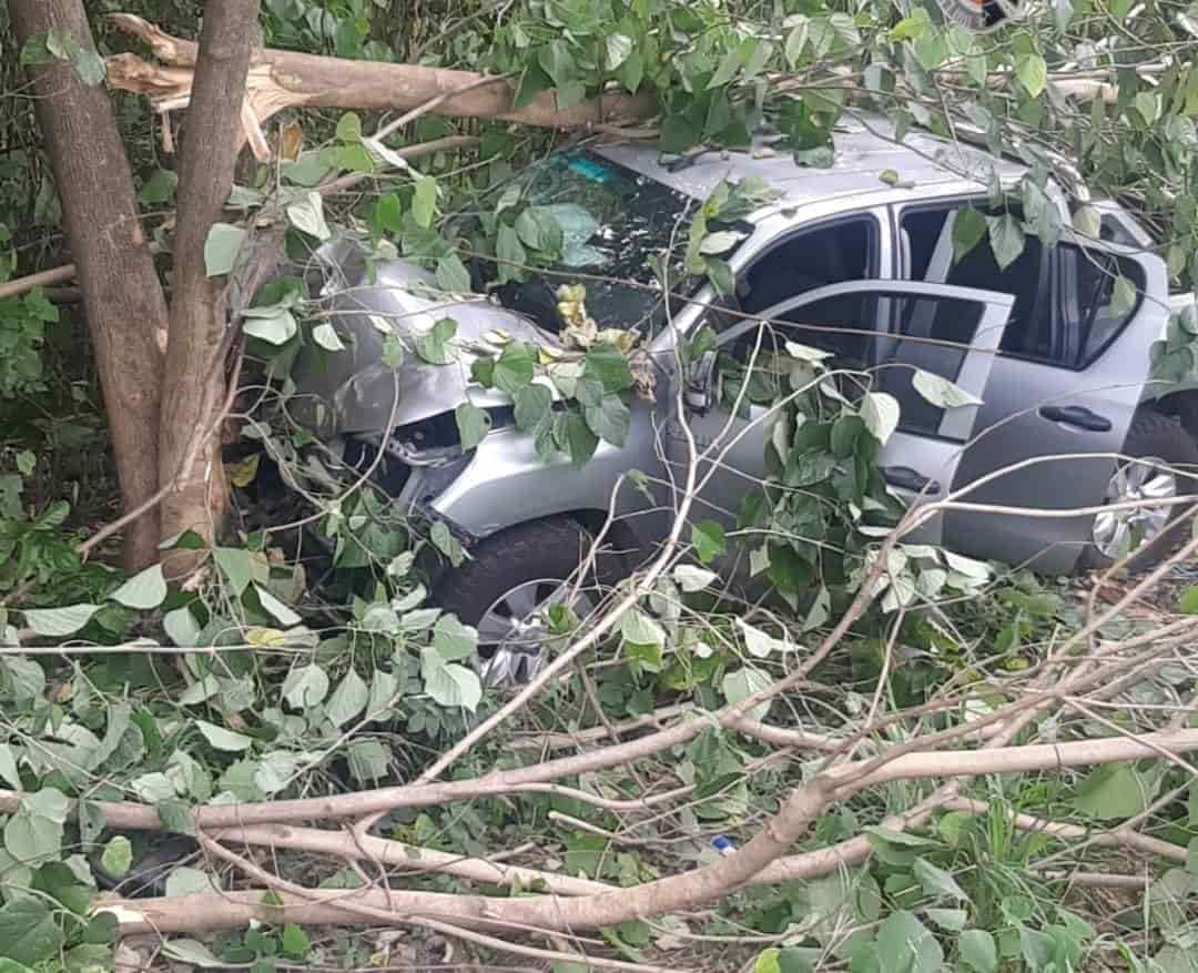 Se estrellan contra árbol en carretera de Puente Nacional, en Veracruz