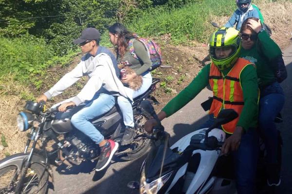 ¡Hasta con mascotas! procesión a la Virgen de Guadalupe en carreteras de Veracruz (+Video)