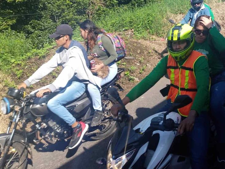 ¡Hasta con mascotas! procesión a la Virgen de Guadalupe en carreteras de Veracruz (+Video)