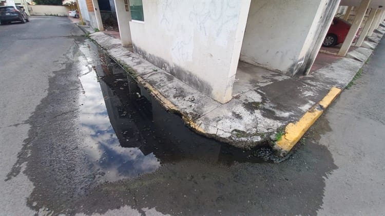 Basura, fuga de agua y edifico abandonado afecta a vecinos de colonia en Boca del Río