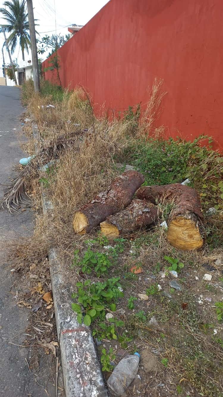 Basura, fuga de agua y edifico abandonado afecta a vecinos de colonia en Boca del Río