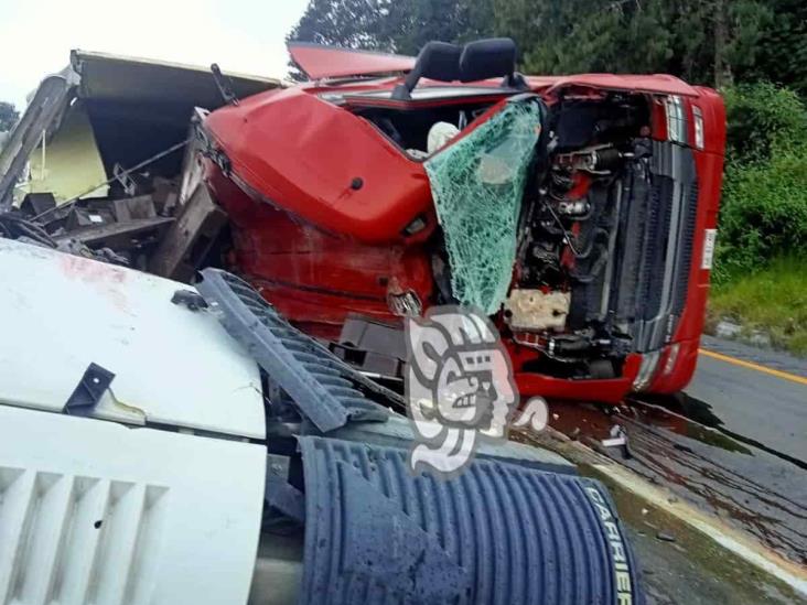 Vuelca tráiler con pollos en las Cumbres de Maltrata