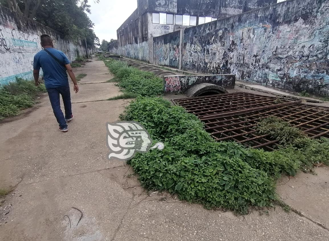 Vecinos de Las Américas piden iluminar calle Argentina