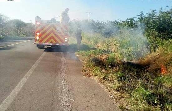 Controlan incendio en pastizales de Punta Grande, Alvarado