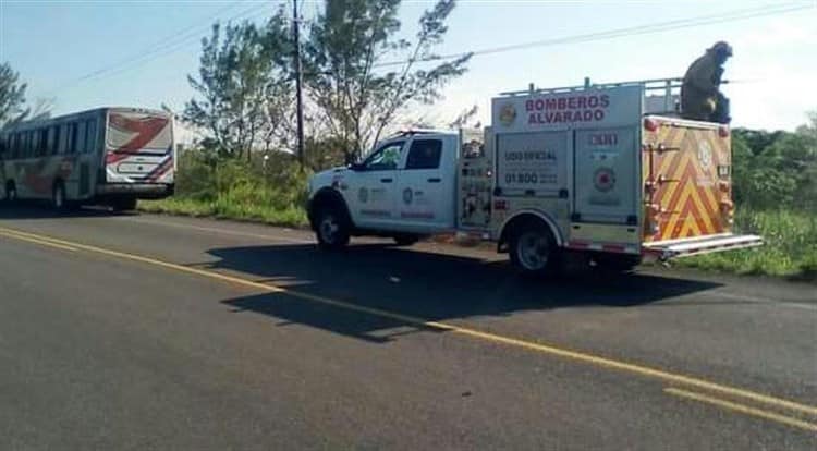 Controlan incendio en pastizales de Punta Grande, Alvarado