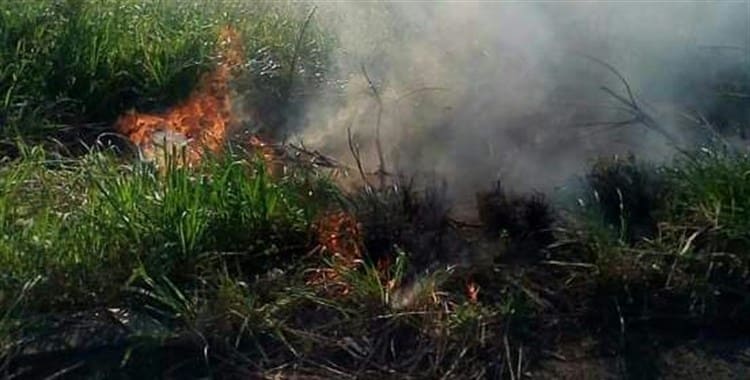 Controlan incendio en pastizales de Punta Grande, Alvarado