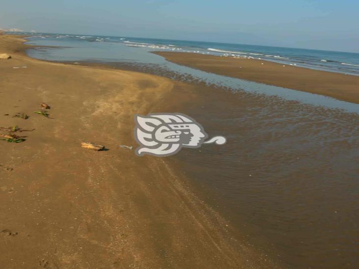 Se retrae el mar en Coatzacoalcos; fenomeno causa admiración en habitantes