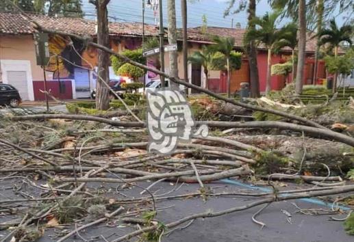 Surada en Orizaba deja un herido y daños en viviendas (+Video)
