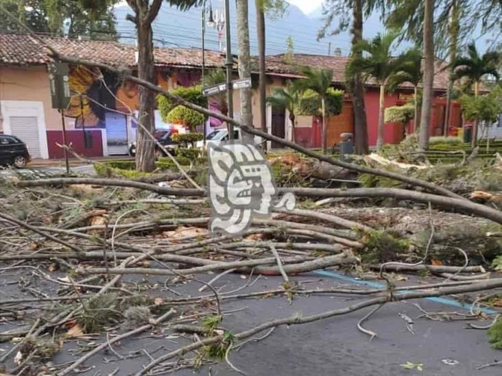 Surada en Orizaba deja un herido y daños en viviendas (+Video)