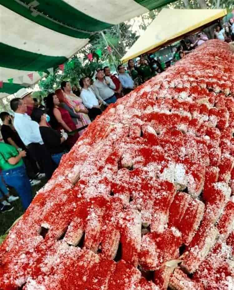 El elote más grande del mundo es de Puente Nacional, rompe Récord Guinness