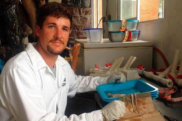 Gana biólogo español premio de la UV por estudio sobre pulpos en Veracruz