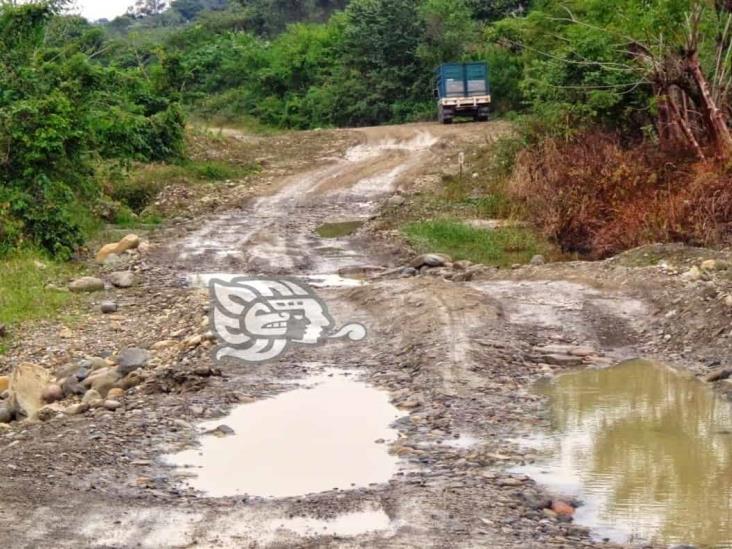 En 2033, SIOP se enfocará en carretera Misantla-Martínez de la Torre