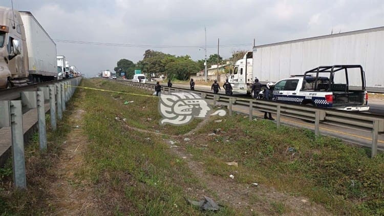 Muere hombre atropellado en la autopista Córdoba-Orizaba