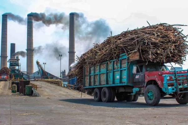 Ingenio San Cristóbal prevé terminar zafra 2022-2023 con buenos números