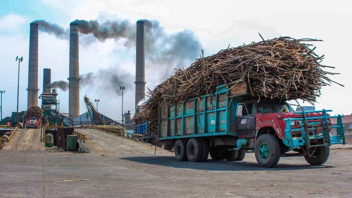 Ingenio San Cristóbal prevé terminar zafra 2022-2023 con buenos números