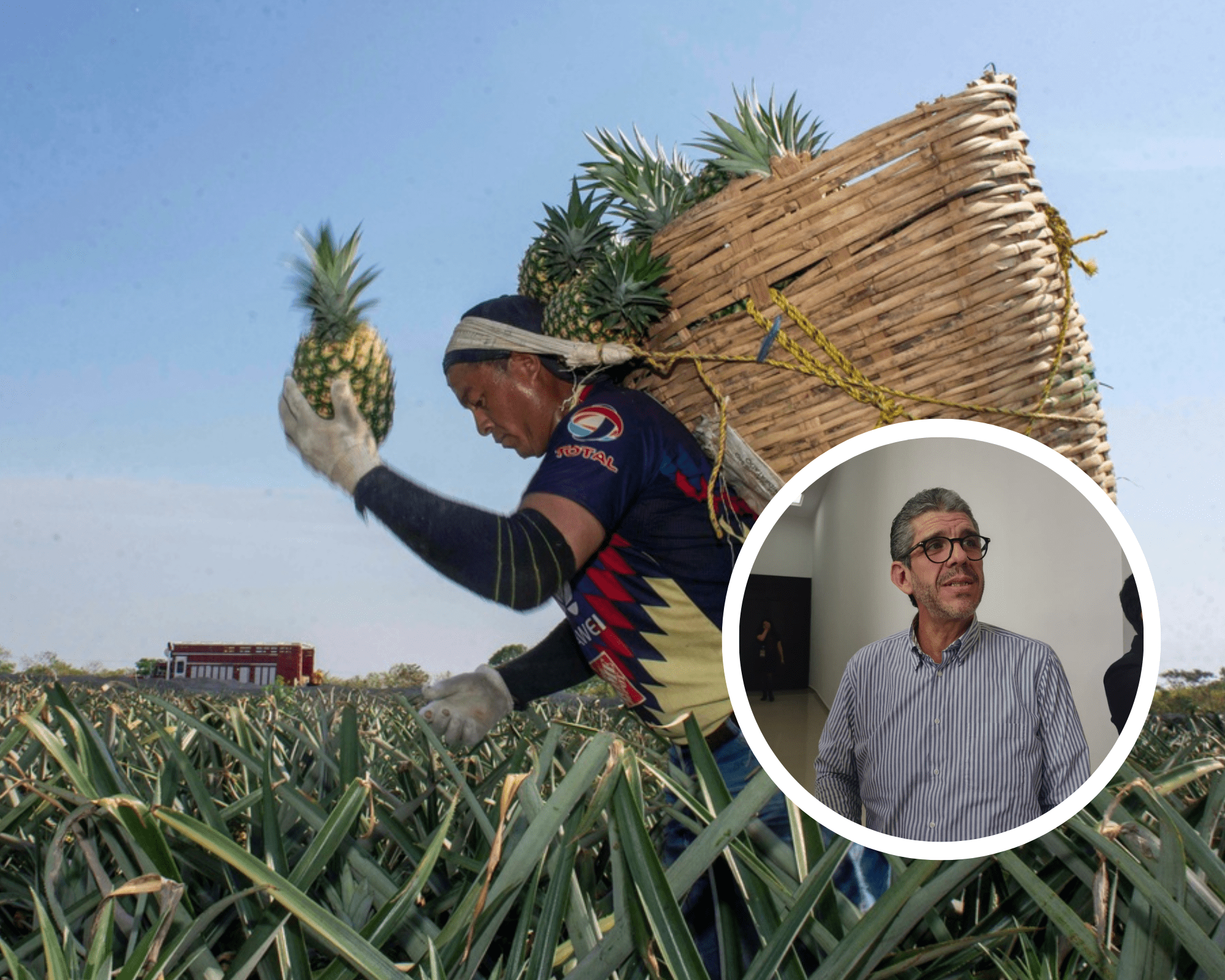 Productos veracruzanos se exportan al mercado asiático y árabe: Sedecop