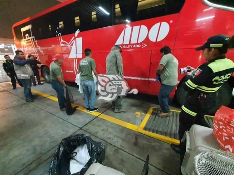 Aseguran 6 monos en terminal de autobuses de Córdoba