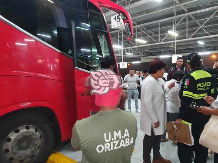 Aseguran 6 monos araña en terminal camionera de Córdoba (+Video)