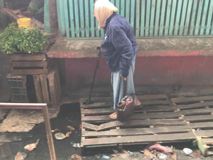 Caminan en mercado de Veracruz sobre charcos de aguas negras