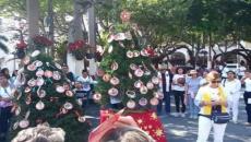 Ayuntamiento de Veracruz niega permisos para instalar “El árbol del dolor” de desaparecidos